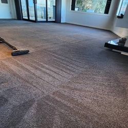 Professional carpet cleaning