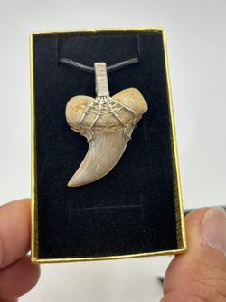 Shark Tooth Necklace Custom- Mako Shark Tooth Sterling Silver 