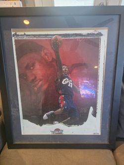 Labron James Picture