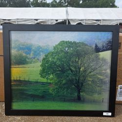Framed Holographic Nature Season Changing Landscape Photo Print