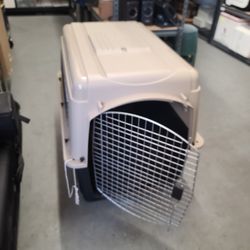 Dog Kennel