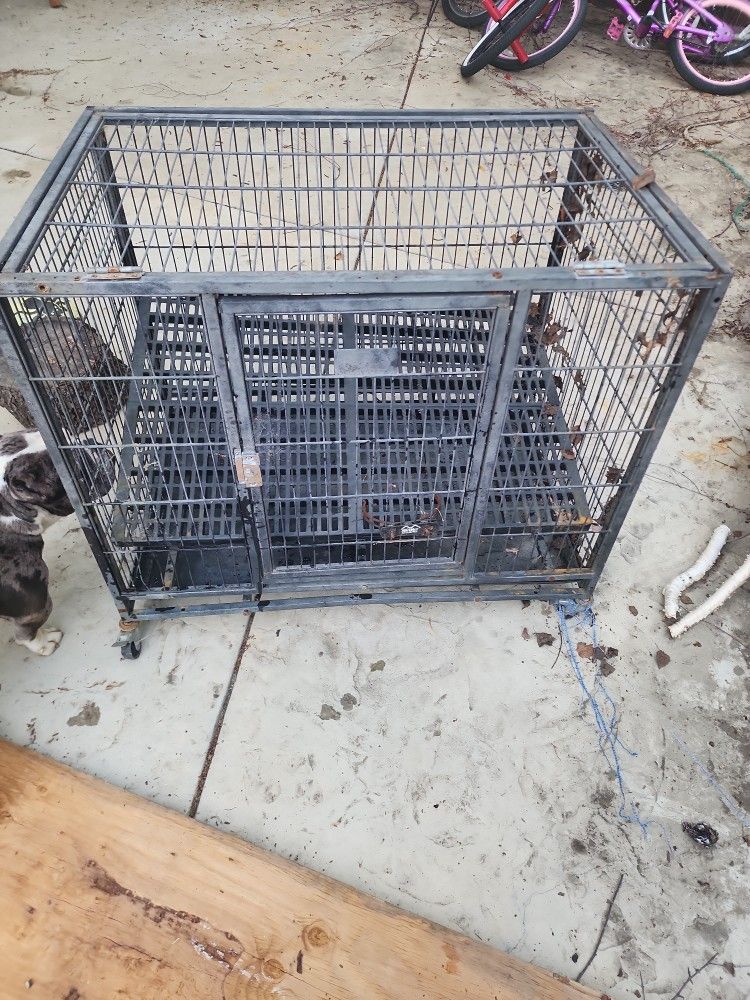 Dog Kennel 40$