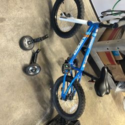 16” Boy And Girl Bicycle