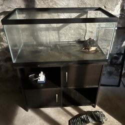 40 Gallon