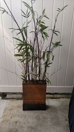 Artificial Bamboo Plant in Woven Planter