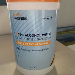Sanitizing Wipes..100ct.