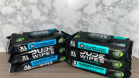 Brand NEW! 🧻    Dude Wipes - Mint Chill & Fragrance Free(((PENDING PICK UP TODAY))))