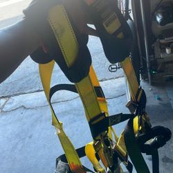 Safety Harness
