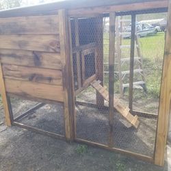 Chicken Cages 