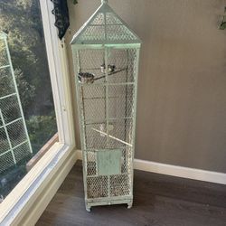 Bird Cage