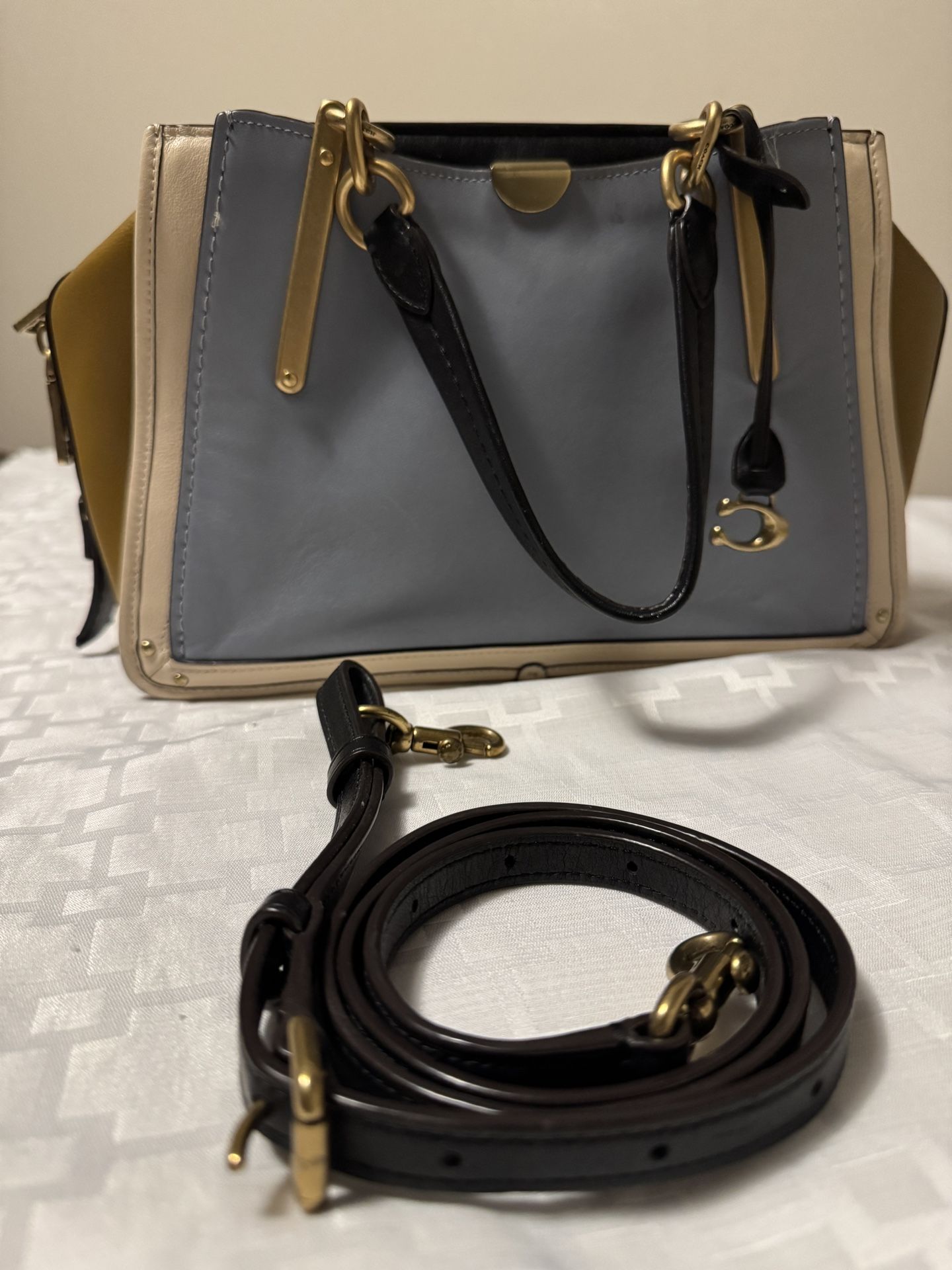 Leather Coach Dreamer Bag