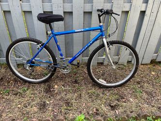 Adult bike