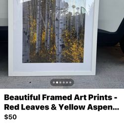 Set of 2 Large Framed Wall Art Prints – Modern Nature (Red Leaves + Aspen Trees)