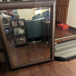 Large Will Mirror 