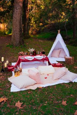 PICNIC 