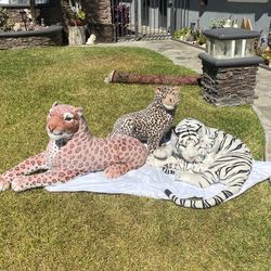 Tigers From Don The Beachcomber, Carla Beach