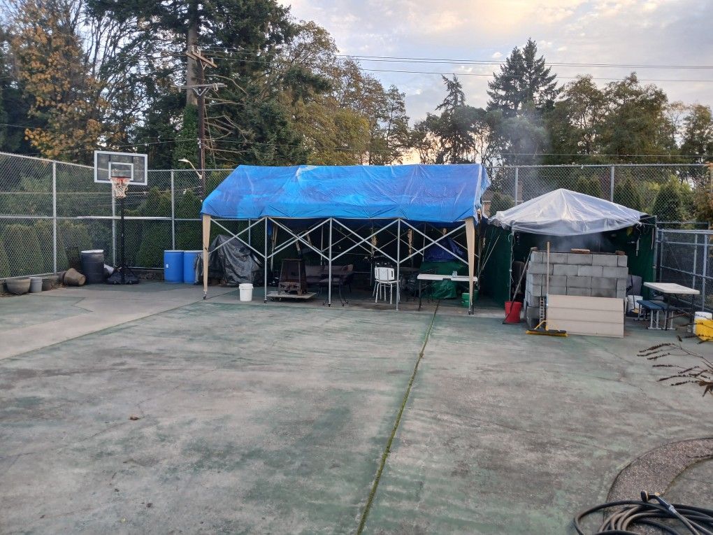 sheep and goat sheperad