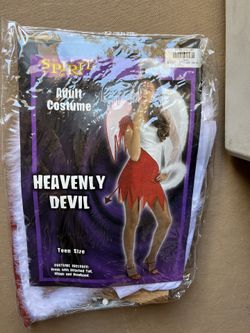 Devil Angel Costume 