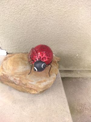 Photo NEW LARGE LADY BUG AND A ROCK