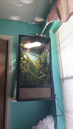 Chameleon Cage