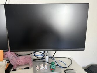 Dell 24 Plus Monitor