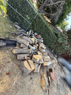 Free firewood