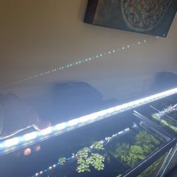 Fluval Aqua sky Led 48inch Light Only
