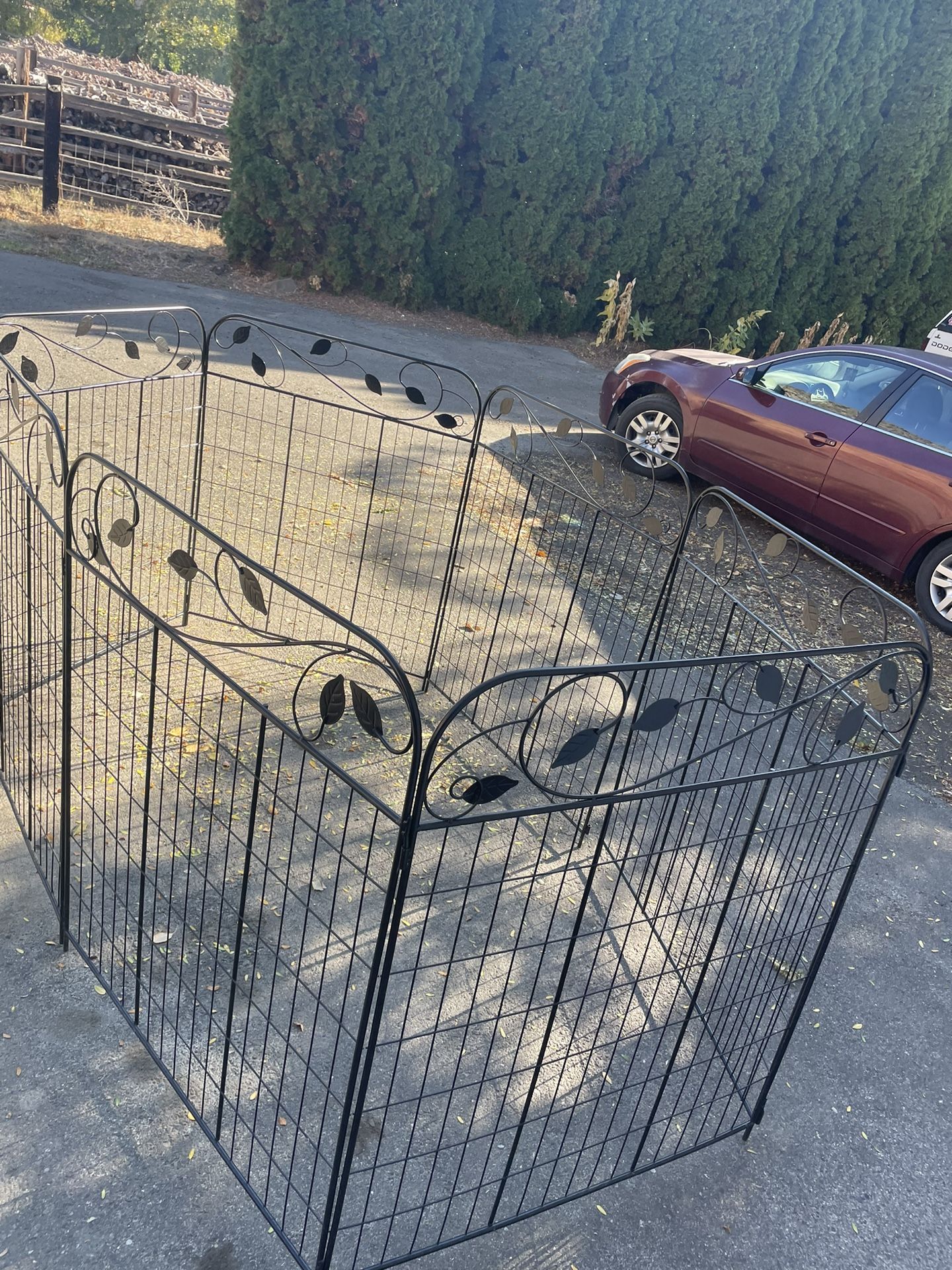 Doggie Fence