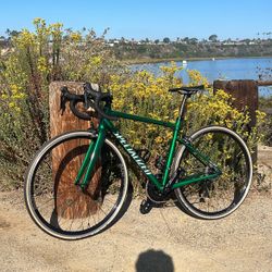 2021 Specialized Allez Elite 52