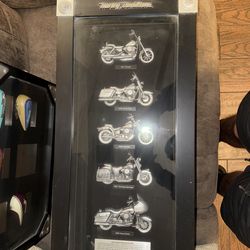 Harley Davidson Bike display