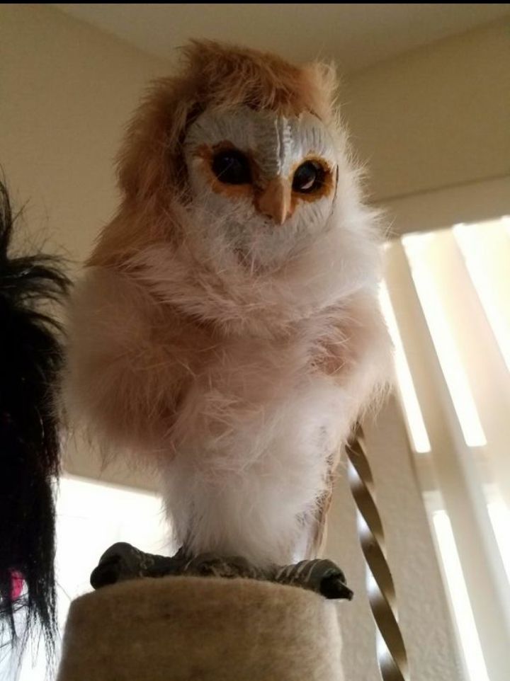 Woodbaby Shoulder Puppet Owl