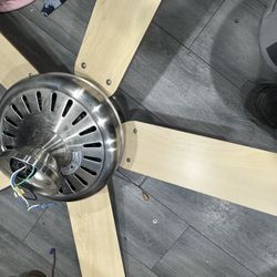 Cealing Fan With Light 