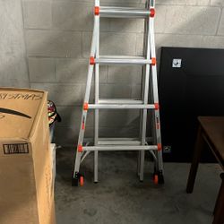 Little Giant Ladder