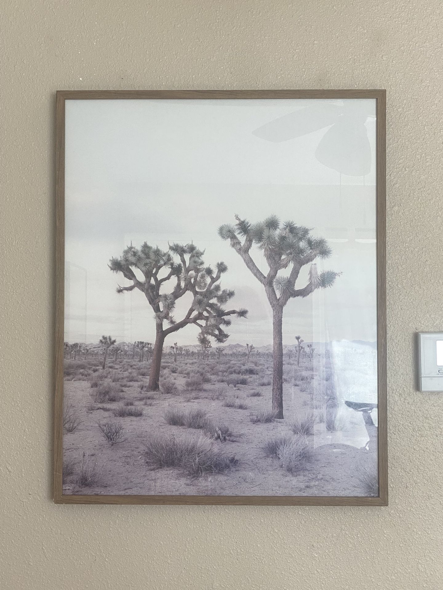 Framed Western Print