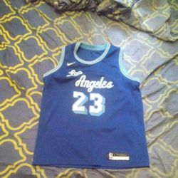 Retro TB Lakers LeBron Jersey