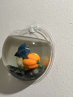 Wall Hanging Fish Bowl