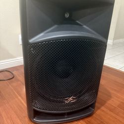 DJ Speaker -Power Acoustik P-15AUI