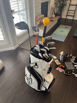 Premium Tour Spec Golf Setup | P790 • Rogue ST • Titleist Bag • RTX