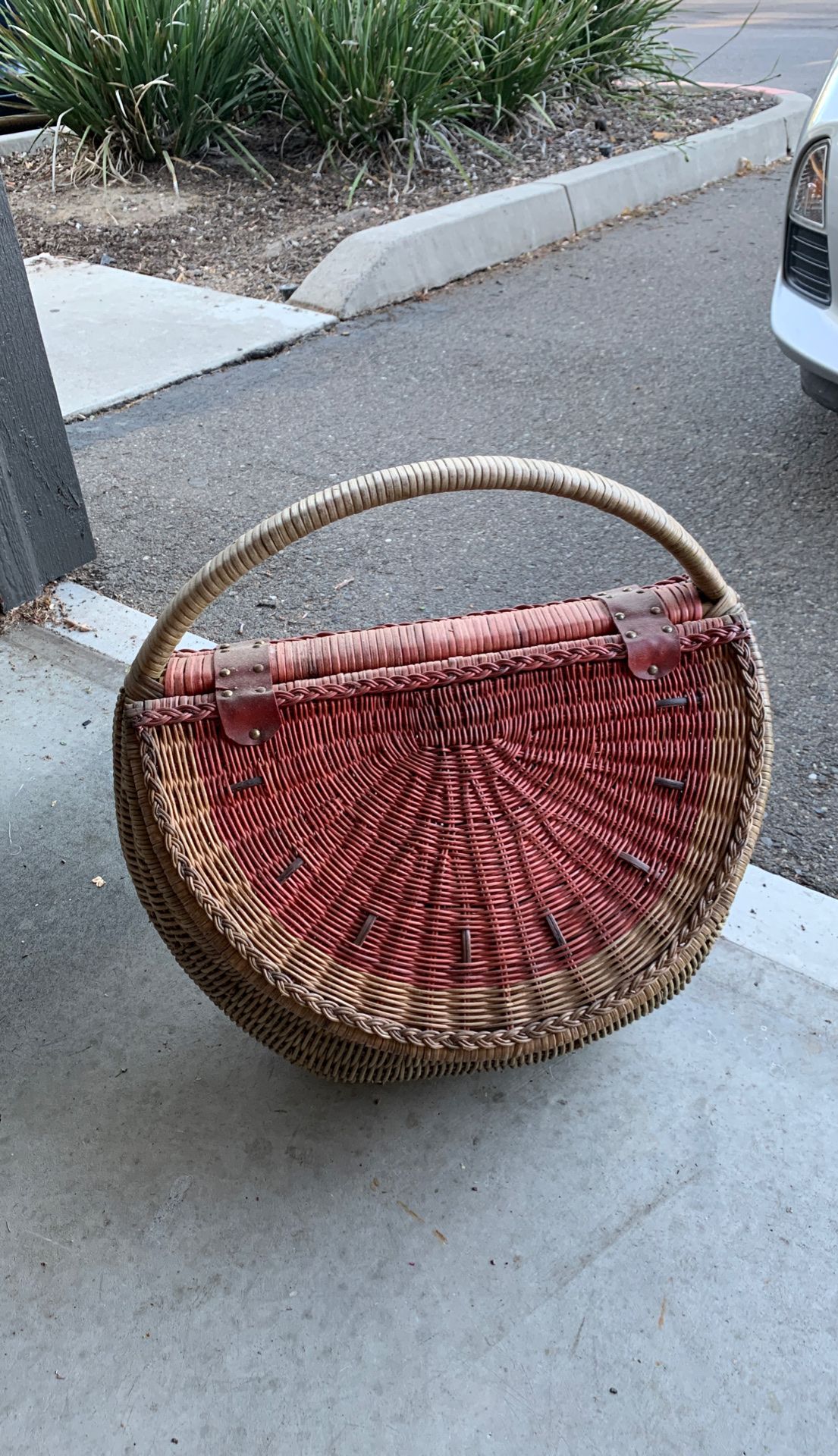 Watermelon basket