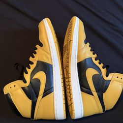 Air Jordan 1 Retro Pollen