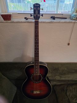 ACOUSTIC BASS BUNDLE