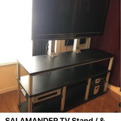 Salamander TV Stand/ 3D Pioneer TV