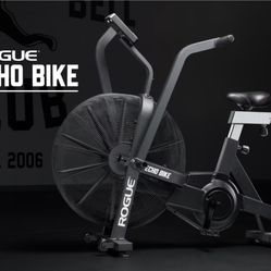 Rogue Echo Stationary Bike
