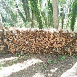 Firewood