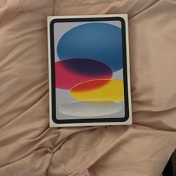 iPad A16 WiFi + Cellular