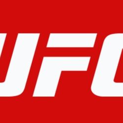 Kids UFC Boxing Gloves and Punching Mitts