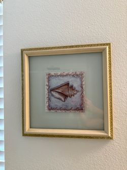 Framed Seashell Wall Art