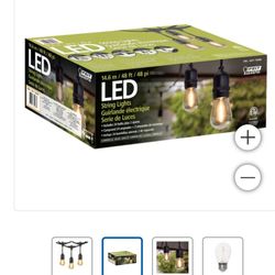 Feit Outdoor Indoor LED Light Bulb
