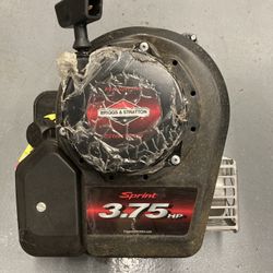 Briggs & Stratton Sprint 3.75HP Engine