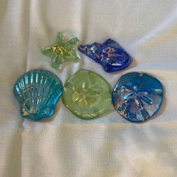Glass Shells Set Of 5